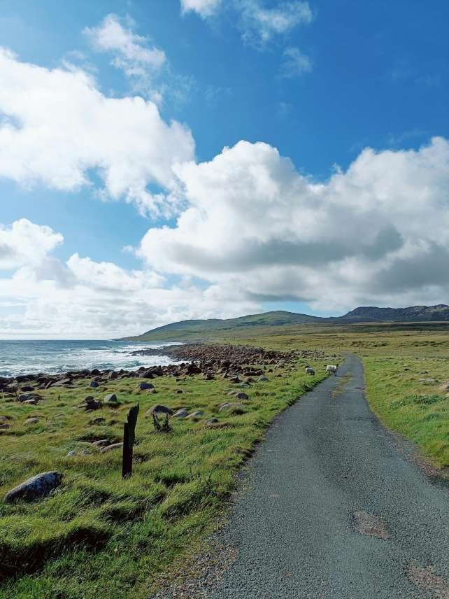 Stunning coastal road with rocky shoreline in Donegal, Ireland under a vibrant blue sky.