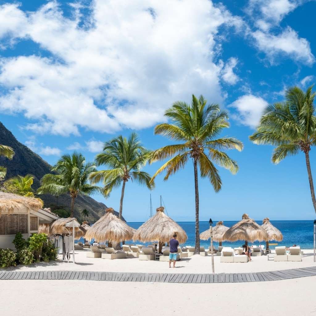 Sugar beach Saint Lucia ,white tropical beach palm trees and luxury beach chairs St Lucia Caribbean