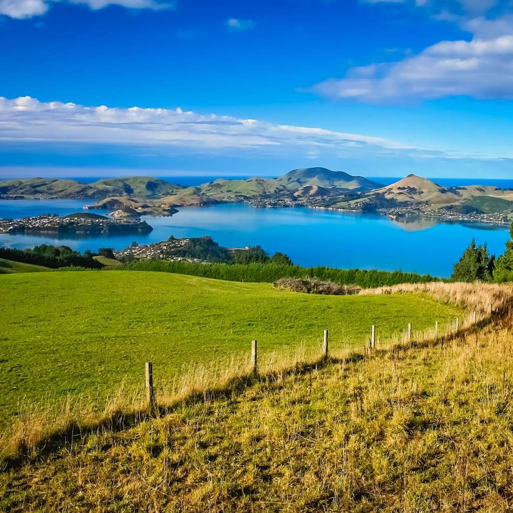 Grassland, pasteurs and meadows above Dunedin
