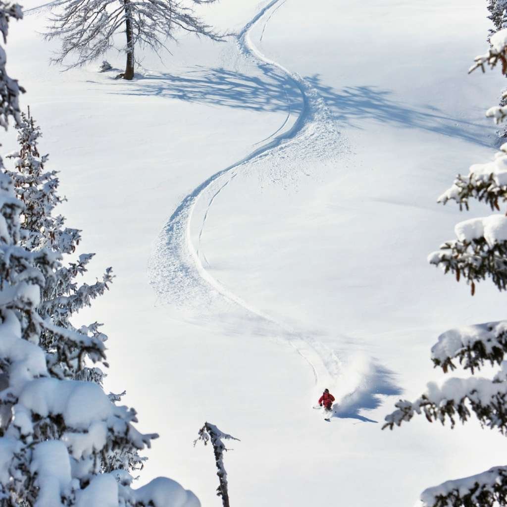 Austria, Tyrol, Kitzbühel, Pass Thurn, Freeride, Man skiing downhill