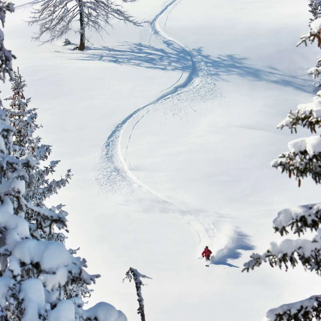 Austria, Tyrol, Kitzbühel, Pass Thurn, Freeride, Man skiing downhill